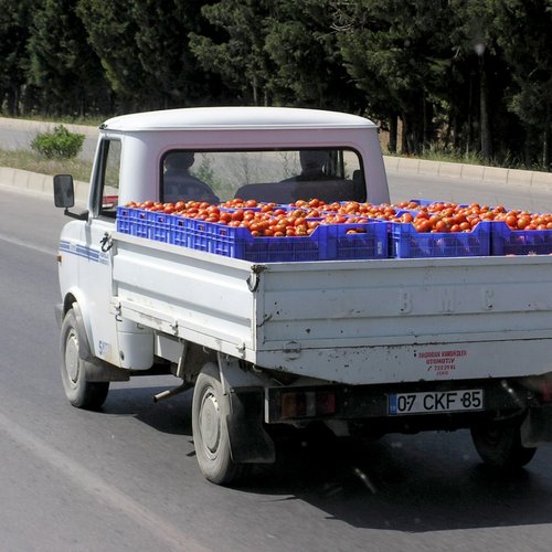 Основные правила перевозки овощей автотранспортом