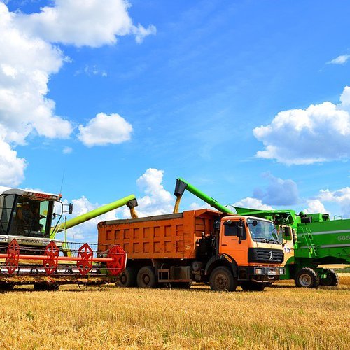 Автоперевозчики сельскохозяйственной продукции жалуются на вынужденную работу с постоянным перегрузом