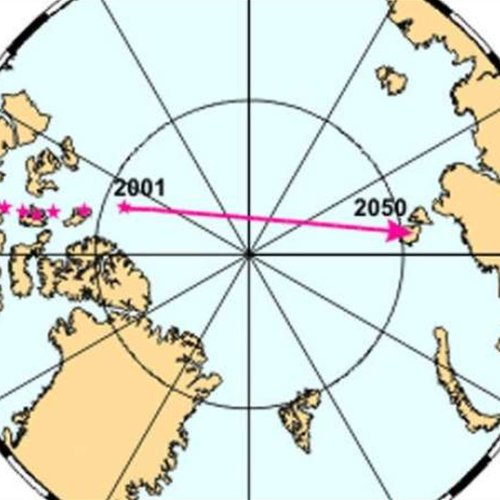 Магнитный полюс Земли смещается в сторону Сибири: эксперты предупреждают о проблемах с навигацией 